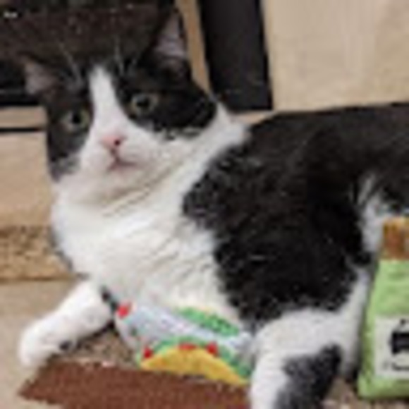 Meet your Posher, Chris - Picture 1 of 1